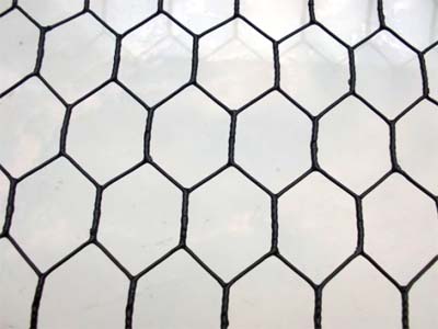 Wire Mesh for lobster&crab