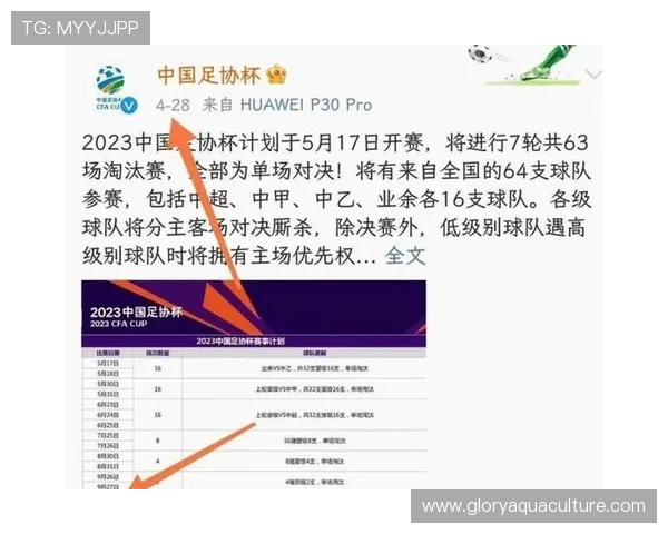 足协下半年聚焦03与09年龄梯队培养中超赛程保持稳定无调整计划 足协下半年聚焦03与09年龄梯队培养中超赛程保持稳定无调整计划