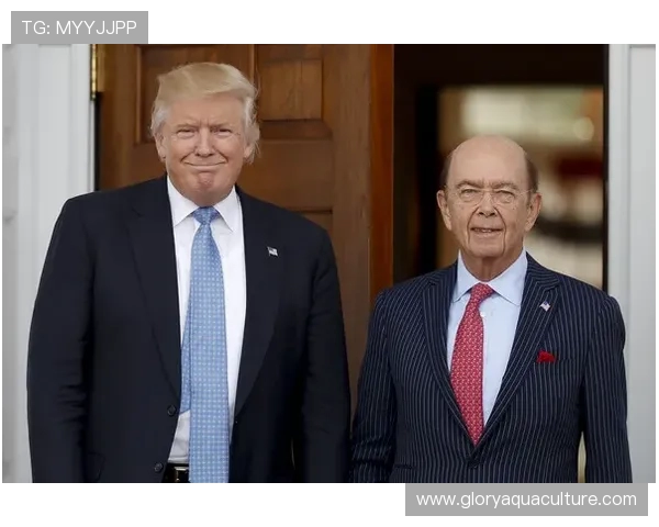 鲍曼表示若纳帅让特狮复出自己完全理解并毫无怨言