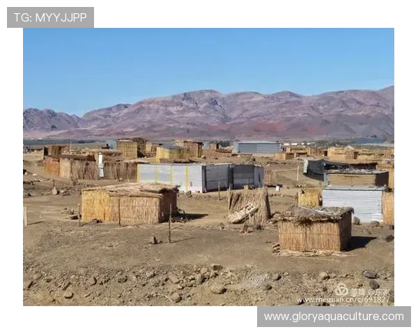 杰纳斯吐槽圣西罗更衣室狭小厕所简陋设施落后让人震惊