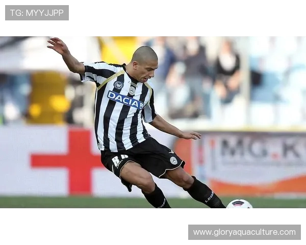 乌迪内斯逆转莱切布克萨凯南戴维斯建功助球队3-2获胜