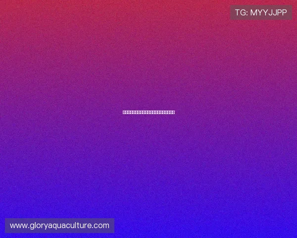 加斯佩里尼谈意甲争冠目标及对迪巴拉进球建议