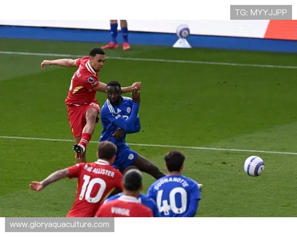 六台记者：阿诺德基本无缘2025年剩余比赛