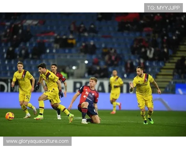 佛罗伦萨意甲前14轮后比上赛季同期少了25分，创意甲历史纪录