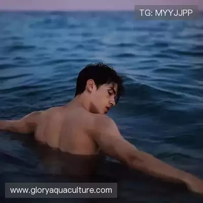 王秦准