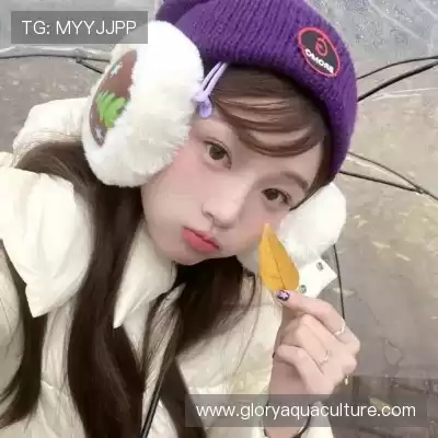 甄歌寒